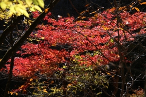 nakatsugawa 095
