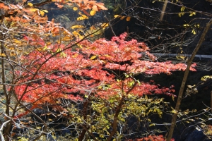 nakatsugawa 096