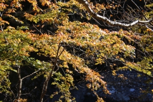 nakatsugawa 097