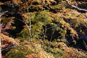 nakatsugawa 098