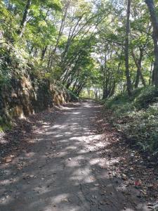 nantaisan 013