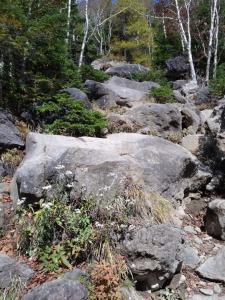 nantaisan 036