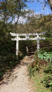 nasu koyo 006
