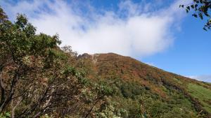 nasu koyo 009