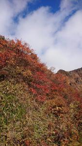 nasu koyo 022