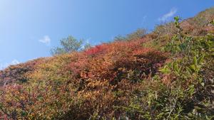 nasu koyo 056
