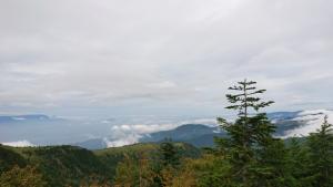 azumayasan 029