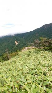 azumayasan 035