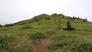 azumayasan 047