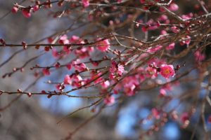 子の権現（３／３）