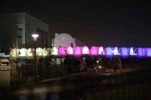 odaiba yakei 012