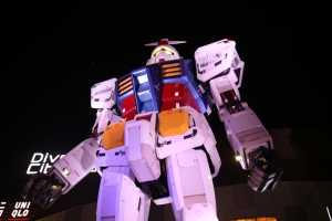 odaiba yakei 019