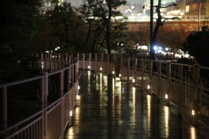 odaiba yakei 028