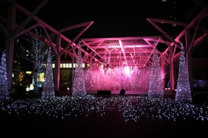 odaiba yakei 045
