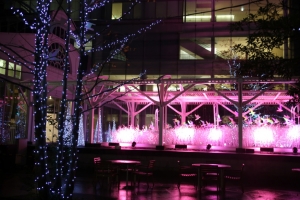 odaiba yakei 048