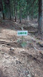 ogiyama 015