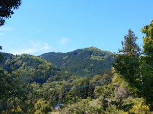 oogiriyama 014
