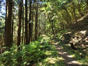 oogiriyama 017