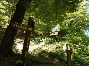 oogiriyama 023