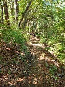 oogiriyama 051