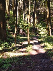 oogiriyama 057