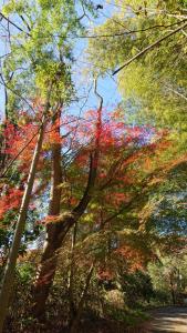 ohnoyama 008