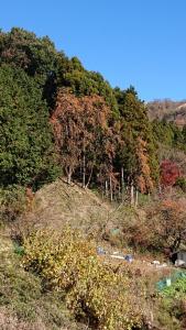 ohnoyama 023