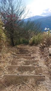 ohnoyama 058