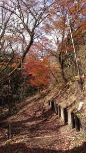 ohnoyama 065