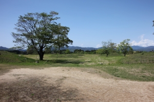 ohitam  00099