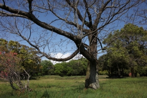 ohitam  00124