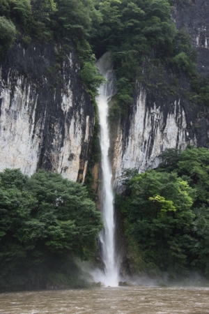 okayama ikura 0002