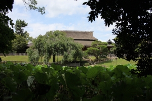okayama oka 0021