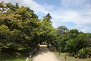 okayama oka 0023