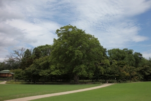 okayama oka 0030
