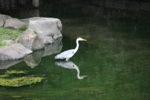 okayama oka 0031