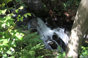 okayama oka 0033