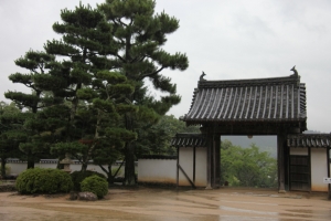 okayama soja 0001