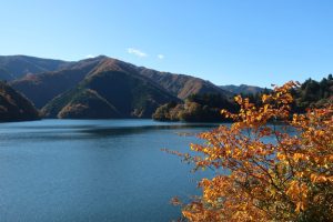 奥多摩湖紅葉２０２４