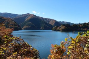 奥多摩湖紅葉２０２４