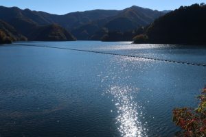 okutamako 025