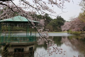 oomiya  koen001
