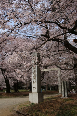 oomiya  koen009