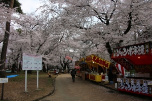 oomiya  koen014