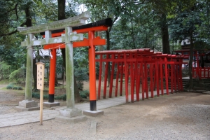 oomiya  koen045