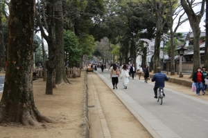 oomiya  koen047