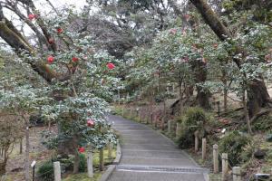ohshima 009
