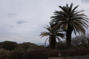 ohshima 044