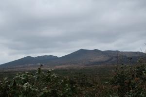 三原山・椿花ガーデン