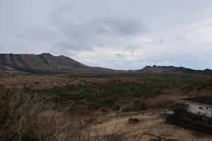 ohshima 051
